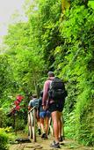 Туры в отель Bagus Jati Health & Well Being Retreat Туры в отель Bagus Jati Health & Well Being Retreat
