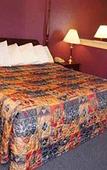 Туры в отель OK Hotel Туры в отель OK Hotel