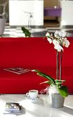 Туры в отель Best Western Plus Hotel Le Rhenan Туры в отель Best Western Plus Hotel Le Rhenan