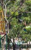 Туры в отель The Resort Mumbai Туры в отель The Resort Mumbai