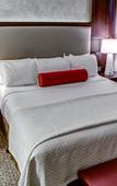 Туры в отель Cambria Hotel & Suites - White Plains Downtown Туры в отель Cambria Hotel & Suites - White Plains Downtown