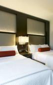 Туры в отель Cambria Hotel & Suites - White Plains Downtown Туры в отель Cambria Hotel & Suites - White Plains Downtown