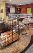 Туры в отель Hilton Garden Inn Raleigh Capital Blvd I-540 Туры в отель Hilton Garden Inn Raleigh Capital Blvd I-540