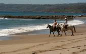 Туры в отель Tango Mar Beachfront Boutique Hotel & Villas Туры в отель Tango Mar Beachfront Boutique Hotel & Villas