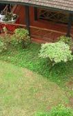 Туры в отель Jacaranda Туры в отель Jacaranda