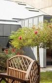 Туры в отель Hotel ibis Nemours Туры в отель Hotel ibis Nemours
