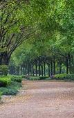 Туры в отель Mission Hills Resort Shenzhen Туры в отель Mission Hills Resort Shenzhen