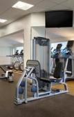 Туры в отель DoubleTree by Hilton Stamford Туры в отель DoubleTree by Hilton Stamford