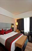 Туры в отель Radisson Hotel Sector 29 Gurugram Туры в отель Radisson Hotel Sector 29 Gurugram