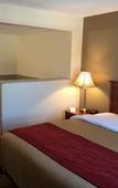 Туры в отель Comfort Inn Foxboro – Mansfield Туры в отель Comfort Inn Foxboro – Mansfield