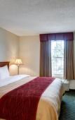 Туры в отель Comfort Inn Foxboro – Mansfield Туры в отель Comfort Inn Foxboro – Mansfield