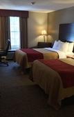Туры в отель Comfort Inn Foxboro – Mansfield Туры в отель Comfort Inn Foxboro – Mansfield
