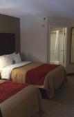 Туры в отель Comfort Inn Foxboro – Mansfield Туры в отель Comfort Inn Foxboro – Mansfield