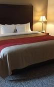 Туры в отель Comfort Inn Foxboro – Mansfield Туры в отель Comfort Inn Foxboro – Mansfield