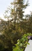 Туры в отель Santana Hotel & Spa Туры в отель Santana Hotel & Spa