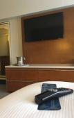 Туры в отель Hilton Albany Туры в отель Hilton Albany