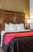 Туры в отель Comfort Inn Glenmont - Albany South Туры в отель Comfort Inn Glenmont - Albany South