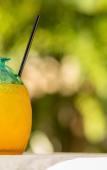 Туры в отель Kimpton Vero Beach Hotel & Spa by IHG Туры в отель Kimpton Vero Beach Hotel & Spa by IHG