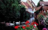 Туры в отель ibis Colmar Centre Туры в отель ibis Colmar Centre