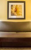 Туры в отель Quality Inn & Suites Syracuse Fairgrounds Туры в отель Quality Inn & Suites Syracuse Fairgrounds