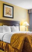 Туры в отель Quality Inn & Suites Syracuse Fairgrounds Туры в отель Quality Inn & Suites Syracuse Fairgrounds