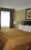 Туры в отель Quality Inn & Suites Syracuse Fairgrounds Туры в отель Quality Inn & Suites Syracuse Fairgrounds