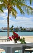 Туры в отель Sandyport Beach Resort Туры в отель Sandyport Beach Resort