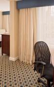 Туры в отель Westford Regency Inn & Conference Center Туры в отель Westford Regency Inn & Conference Center