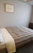 Туры в отель Ark Hotel Kumamotojomae Туры в отель Ark Hotel Kumamotojomae