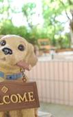 Туры в отель Smile Hotel Kawaguchi Туры в отель Smile Hotel Kawaguchi