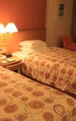 Туры в отель Hotel Nikko Northland Obihiro Туры в отель Hotel Nikko Northland Obihiro