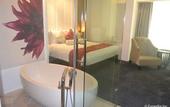 Туры в отель The Penthouse Hotel Туры в отель The Penthouse Hotel