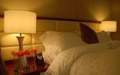 Туры в отель The Avenue Plaza Hotel Туры в отель The Avenue Plaza Hotel