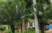 Туры в отель Mount Sea Resort Туры в отель Mount Sea Resort