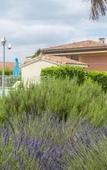 Туры в отель Residence de Diane Туры в отель Residence de Diane