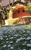 Туры в отель La Villa Duflot Hotel & Spa Perpignan Туры в отель La Villa Duflot Hotel & Spa Perpignan