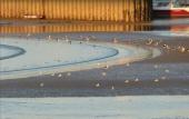 Туры в отель ibis Bayeux Port En Bessin Туры в отель ibis Bayeux Port En Bessin