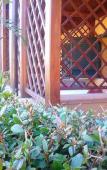 Туры в отель HOTEL FEDERICO II Туры в отель HOTEL FEDERICO II