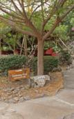 Туры в отель Kia Lodge Туры в отель Kia Lodge