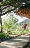 Туры в отель Kia Lodge Туры в отель Kia Lodge