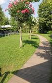 Туры в отель Inverigo Hotel Туры в отель Inverigo Hotel