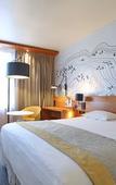 Туры в отель Mercure Grenoble Centre Alpotel Туры в отель Mercure Grenoble Centre Alpotel