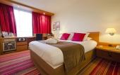 Туры в отель Mercure Grenoble Centre Alpotel Туры в отель Mercure Grenoble Centre Alpotel