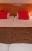 Туры в отель Mercure Grenoble Centre Alpotel Туры в отель Mercure Grenoble Centre Alpotel