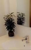 Туры в отель U Boutique Hotel, SureStay Collection by BW Туры в отель U Boutique Hotel, SureStay Collection by BW