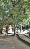 Туры в отель Clio Ella Resort Туры в отель Clio Ella Resort