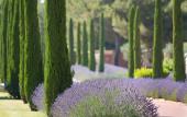 Туры в отель Hotel & Spa du Castellet Туры в отель Hotel & Spa du Castellet