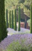 Туры в отель Hotel & Spa du Castellet Туры в отель Hotel & Spa du Castellet