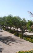 Туры в отель La Perle du Draa Hotel Туры в отель La Perle du Draa Hotel