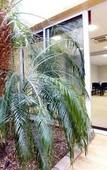Туры в отель Kyriad - Tours Centre Туры в отель Kyriad - Tours Centre